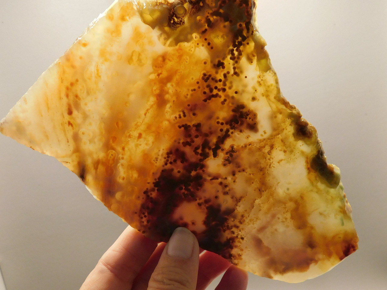 Ocean Jasper Unpolished Stone Slab Natural Lapidary Rock #O14