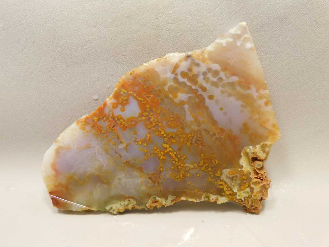 Ocean Jasper Unpolished Stone Slab Natural Lapidary Rock #O14