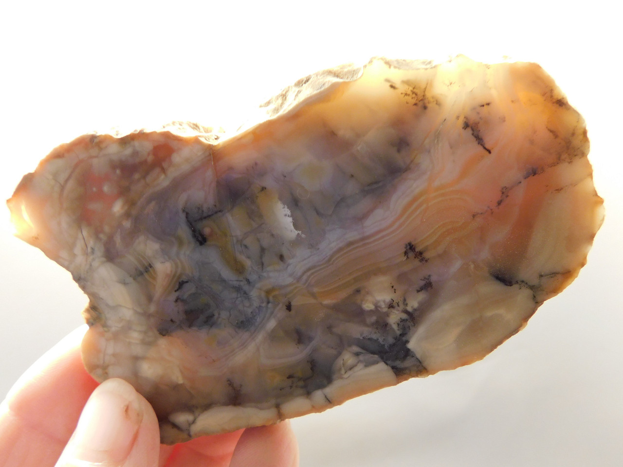 Chapenite Jasper Polished Collector Rock Ft. Irwin California #O7