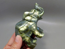 The Oldest Known Stone Animal Carvings.