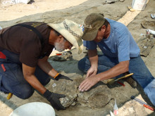 Lapidary Clubs Lapidary Clubs