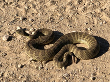 Hazards While Rockhounding 