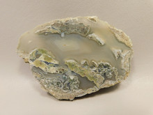 Limb Cast or Petrified Wood