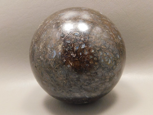 Petrified Paleosmunda Wood 3 inch Sphere Australia Rare Fossil #O2