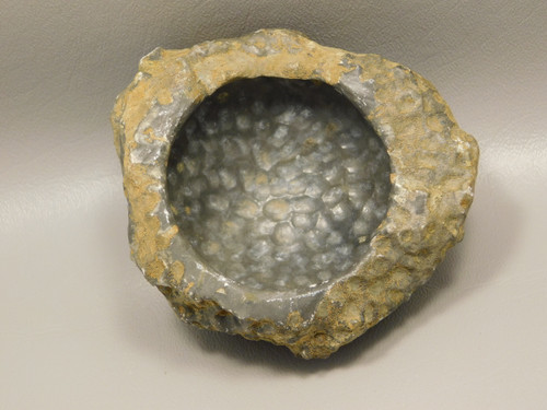 Agatized Coral Bowl Ashtray Fossilized Rock Jewelry Trinket  #O1