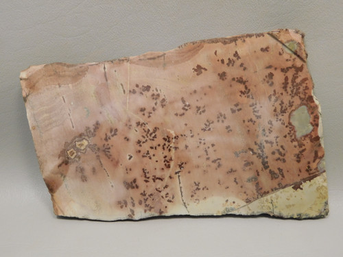 Red Sage Picture Stone Jasper Slab Rough Rock Coffee Bean Jasper #O3