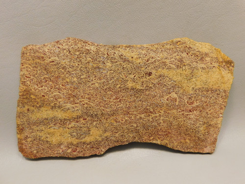 Coquina Jasper Lapidary Rough Rock Script Stone Slab Cabbing #O3