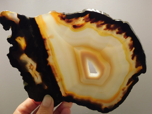 Brazilian Piranha Agate Stone Slab Lapidary Rough Rock #O6