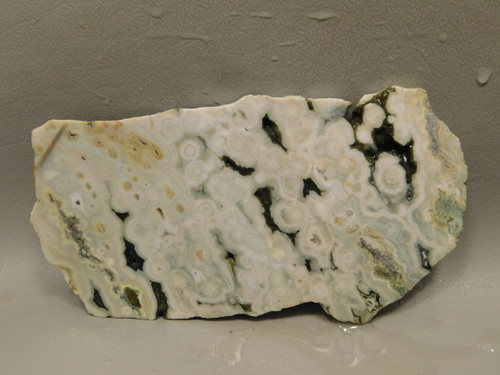  Ocean Jasper Unpolished Stone Slab Natural Lapidary Rock #O2