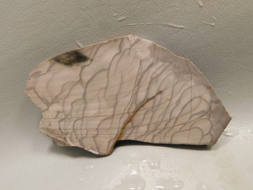 Willow Creek Picture Jasper Rough Rock Stone Slab Lapidary Idaho #O1