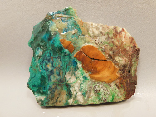 Parrot Wing Chrysocolla Malachite Stone Slab Rough Rock #O15