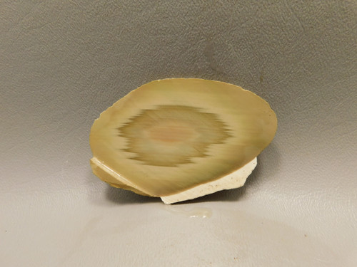 Royal Imperial Jasper Slab Rough Rock Cabbing Cutting #O8