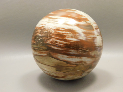 Petrified Wood Sphere Stone 3 inch Mineral Ball Madagascar #OM5