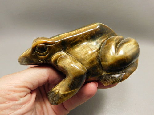 Frog Toad Figurine Tigereye Carved Rock Stone Animal #O184