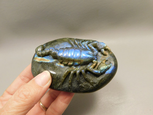 Scorpion Figurine Animal Carving Labradorite Carved Stone #O236