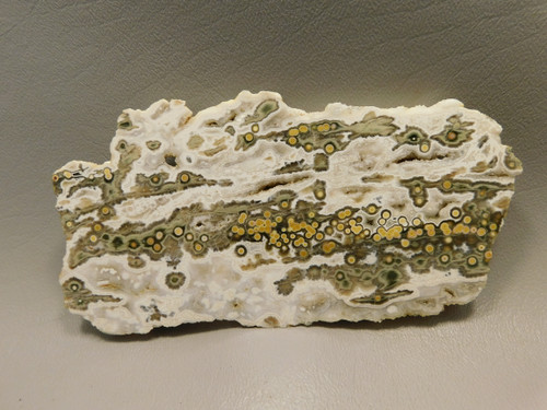 Ocean Jasper Polished Stone Endcut Natural Decorator Rock #O23