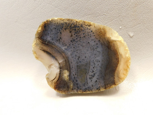 Montana Agate Stone Slab Lapidary Rough Rock #O2