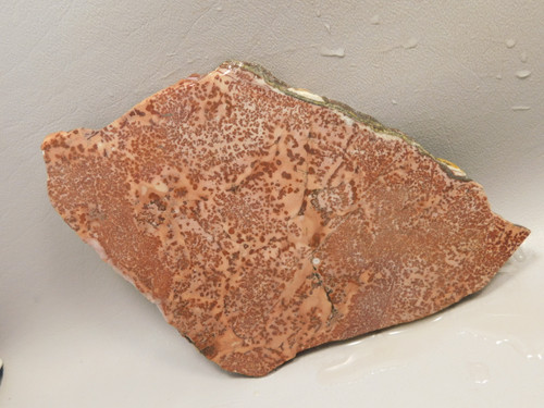 Red Sage Picture Stone Jasper Slab Rough Rock Cabbing Cutting #O6