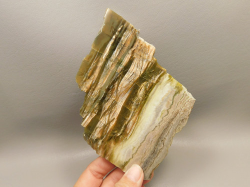 Arizona Pietersite Polished Stone Slab Chatoyant Tiger Eye #O2