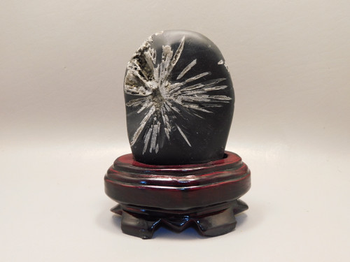 Chrysanthemum Stone 4.35 inch on Wood Base Natural Rock #O1