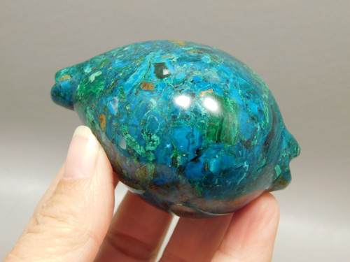Chrysocolla Malachite Seashell Hand Carved Cowrie Stone Carving Arizona #O2
