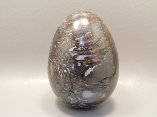 Petrified Wood Egg Rare Palaeosmunda Fossil Large 4.25 inch #O1