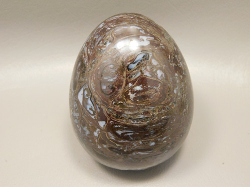 Petrified Wood Egg Rare Palaeosmunda Fossil 3 inch #O2