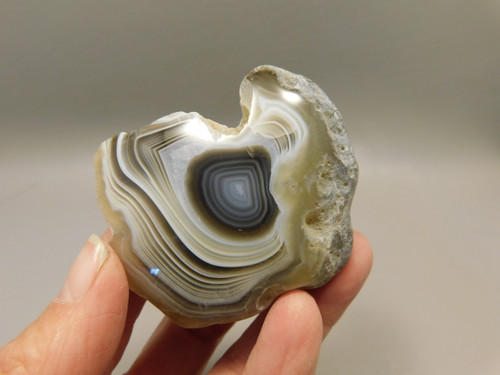 Botswana Agate Polished Stone Nodule Collector Rock Mineral #O2