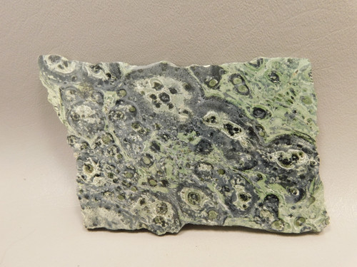 Kabamba Jasper Polished Stone Slab Kambaba or Crocodile Rock #O2