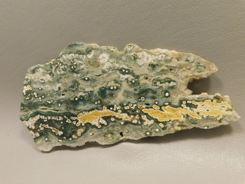 Ocean Jasper Polished Stone Slab Natural Decorator Rock #O29