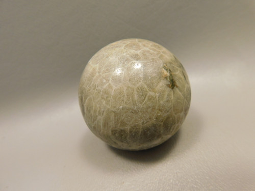 Agatized Coral Jasper Stone Sphere 2 inch Fossilized #O5