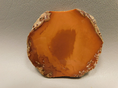 Bruneau Jasper Polished Stone Slab Oregon #O1