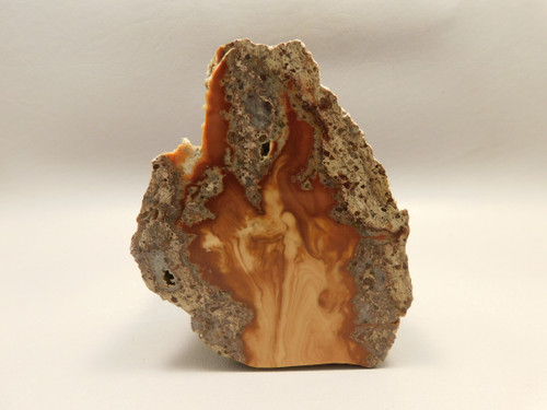 Bruneau Jasper Decorator Polished Rock Oregon #O10