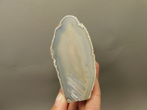 Challis Agate Polished Waterline Stone Collector Rock Idaho #O1