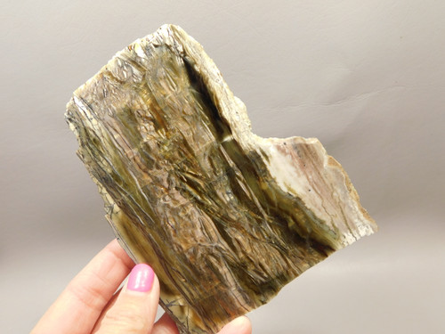 Arizona Pietersite Polished Stone Slab Chatoyant Tiger Eye #O6