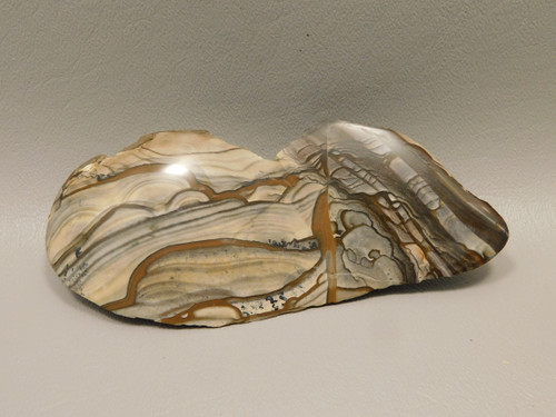 Blue Biggs Picture Jasper Polished Collector Rock Oregon #O1