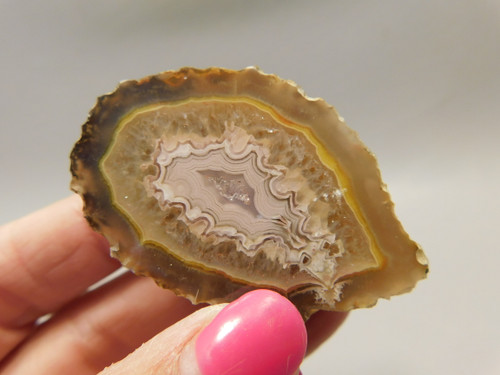 Laguna Agate Polished Stone Nodule Collector Banded Rock #O26