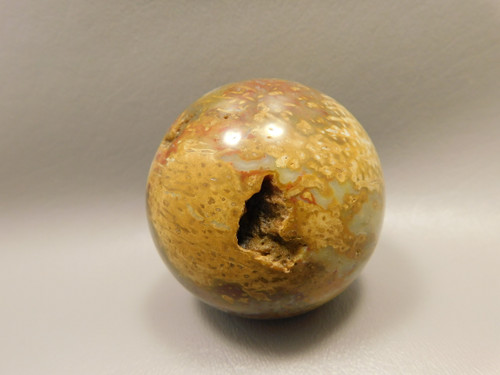 Petrified Palm Wood Sphere 2.4 inch Stone Indonesia #O24