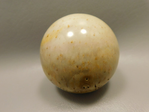 Petrified Palm Wood Sphere 2.4 inch Stone Fossil Louisiana #OLA