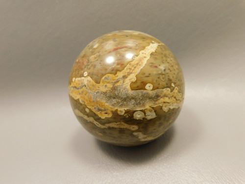 Petrified Palm Wood Sphere 2.2 inch Stone Fossil Indonesia #O28
