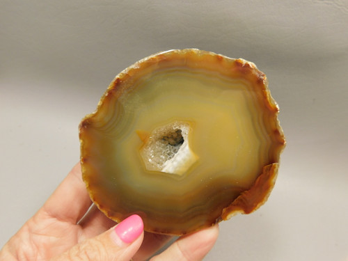 Brazilian Piranha Agate Collector Polished Rock Nodule #O4