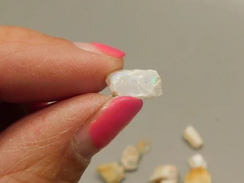 Spenser Opal Unpolished Stone CHIPS Iridescent Small Rock