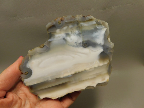 Agate Polished Waterline Stone Collector Rock Idaho #O3