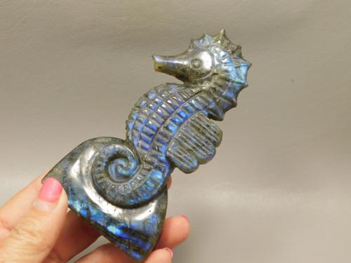 Seahorse Figurine Labradorite Gemstone Animal 4.4 inch Carving #O340
