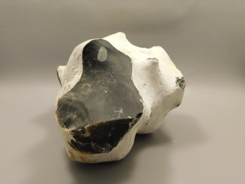 English Flint with Cortex Lapidary Stone Rough Rock England #O1