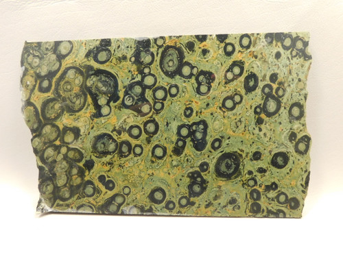 Kabamba Jasper Unpolished Stone Slab Kambaba Rough Rock #O1