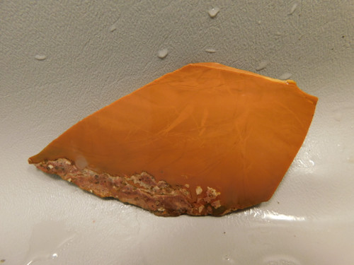 Bruneau Jasper Unpolished Stone Slab Lapidary Rock Oregon #O12