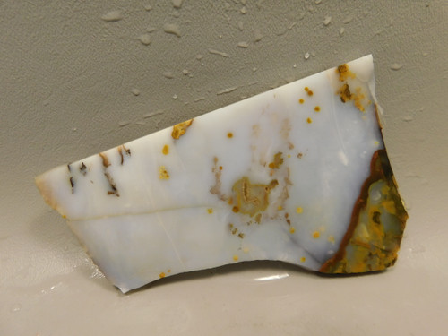 Polka Dot Agate Stone Slab Unpolished Rough Rock Oregon #O3