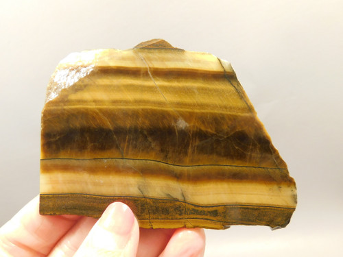 Tiger-eye Rough Rock Yellow Tiger's Eye Stone Slab Cabbing #O11