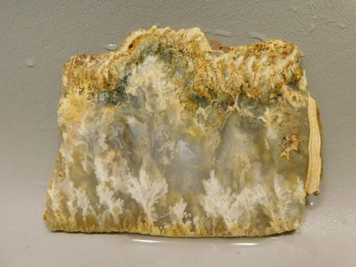 Graveyard Point Plume Agate Stone Slab Unpolished Rock Oregon #O3